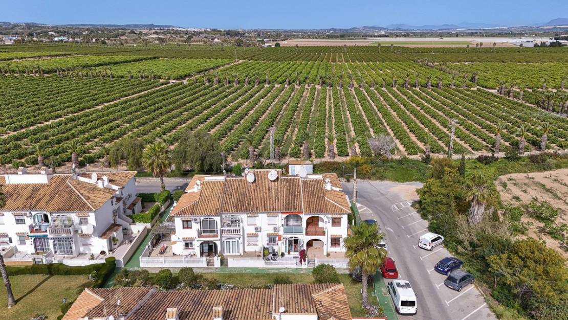 Venta - Apartment - Torrevieja - Lago jardin