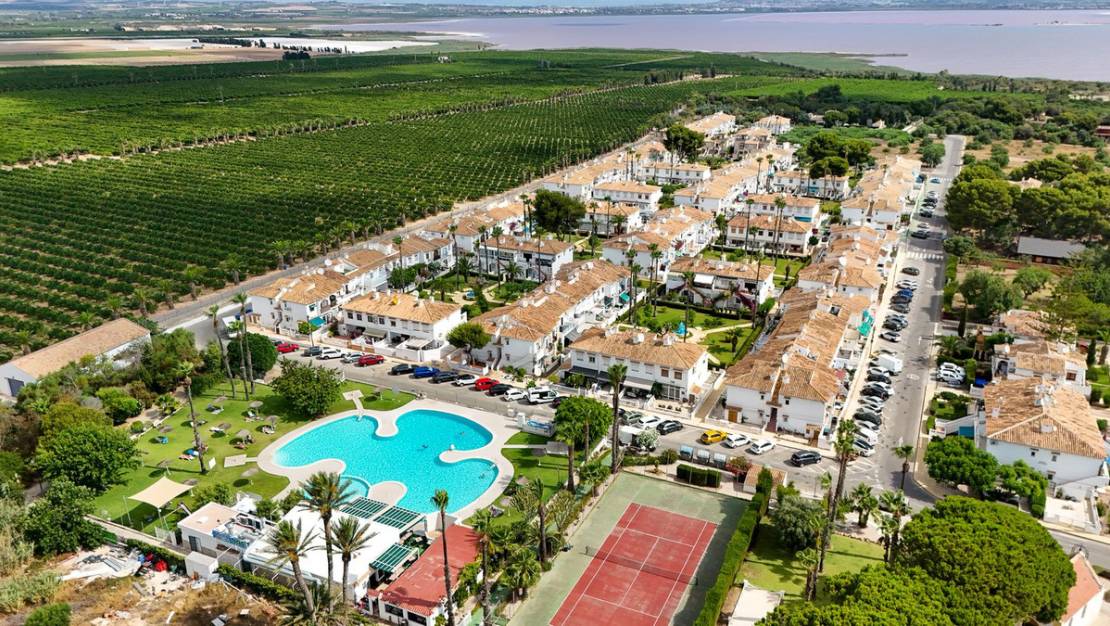 Venta - Apartment - Torrevieja - Lago jardin