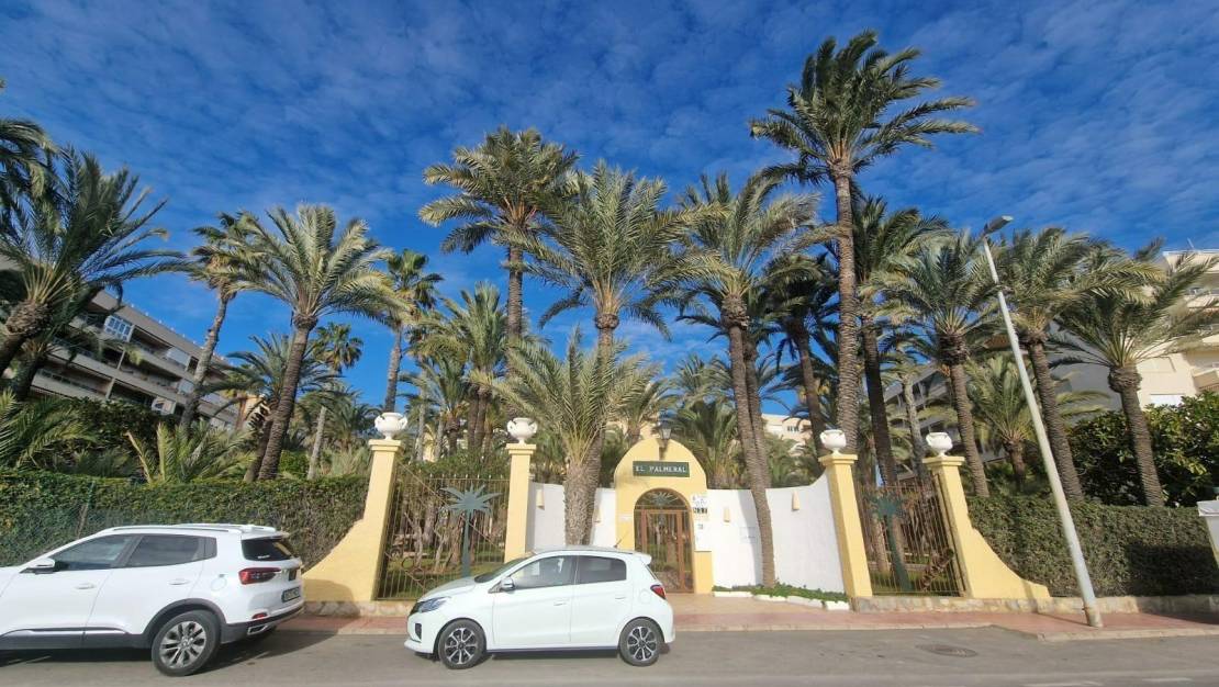 Venta - Apartment - Torrevieja - Los Frutales