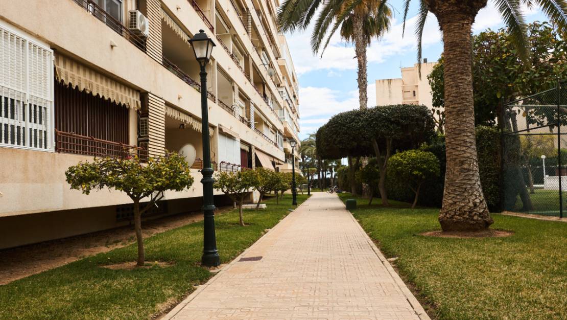 Venta - Apartment - Torrevieja - Playa de los Locos