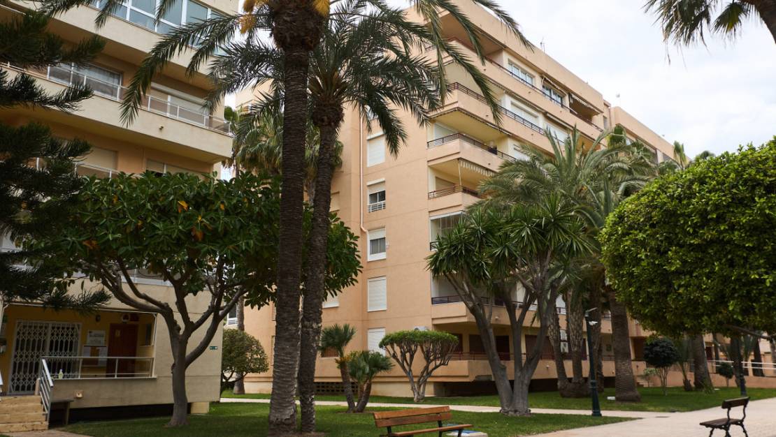 Venta - Apartment - Torrevieja - Playa de los Locos