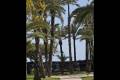 Venta - Apartment - Torrevieja - Playa de los Locos