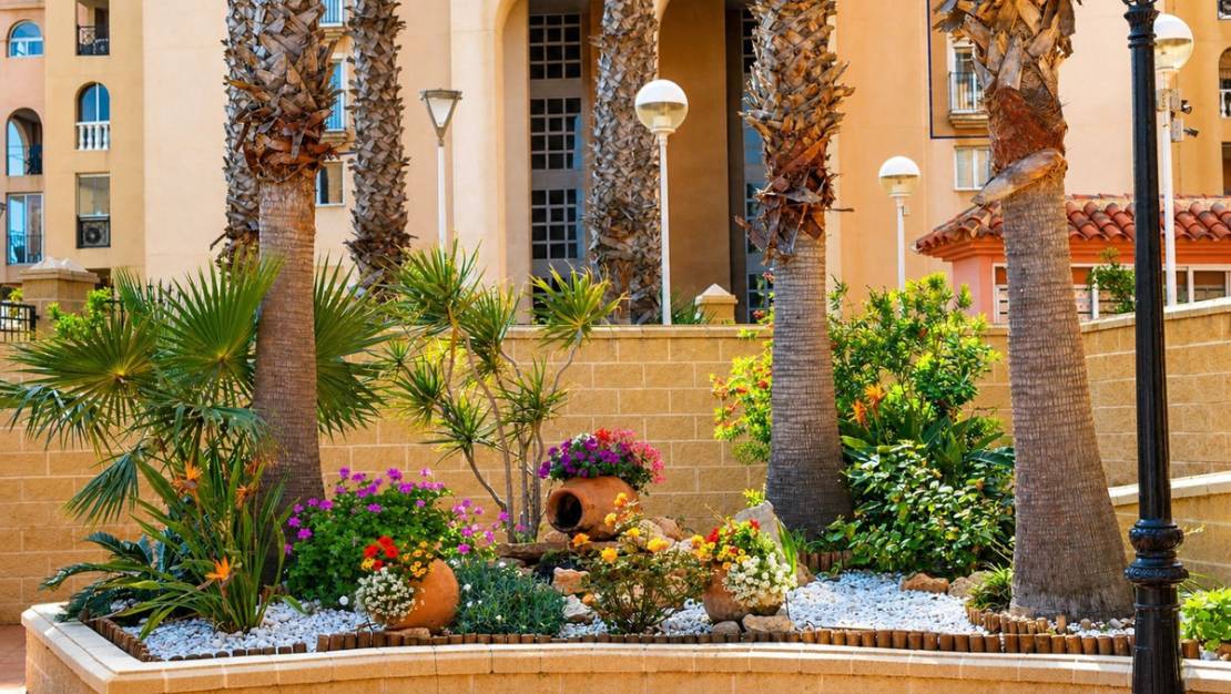 Venta - Apartment - Torrevieja - Playa de los Locos