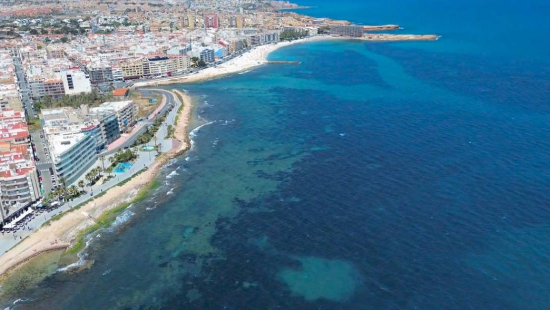 Venta - Apartment - Torrevieja - Playa del Cura