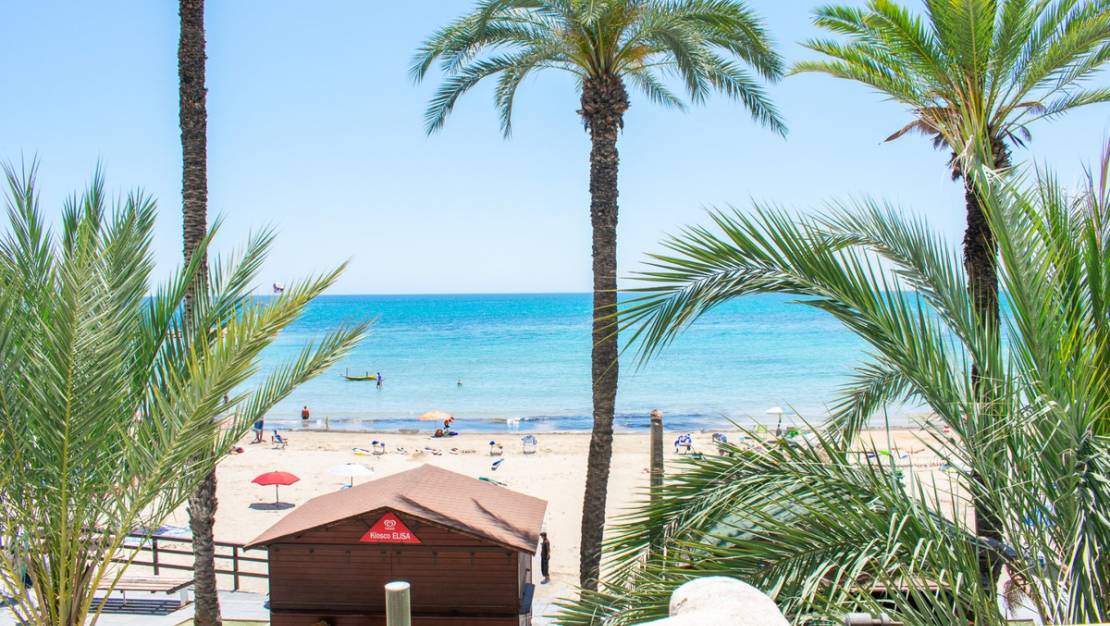 Venta - Apartment - Torrevieja - Playa del Cura