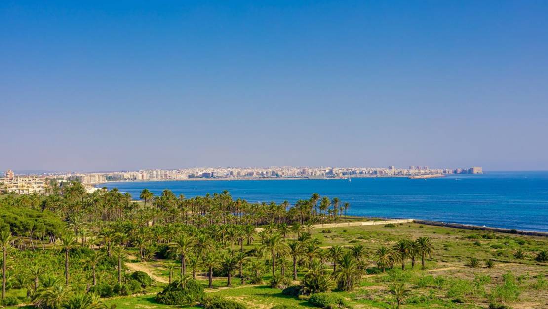 Venta - Apartment - Torrevieja - Punta prima
