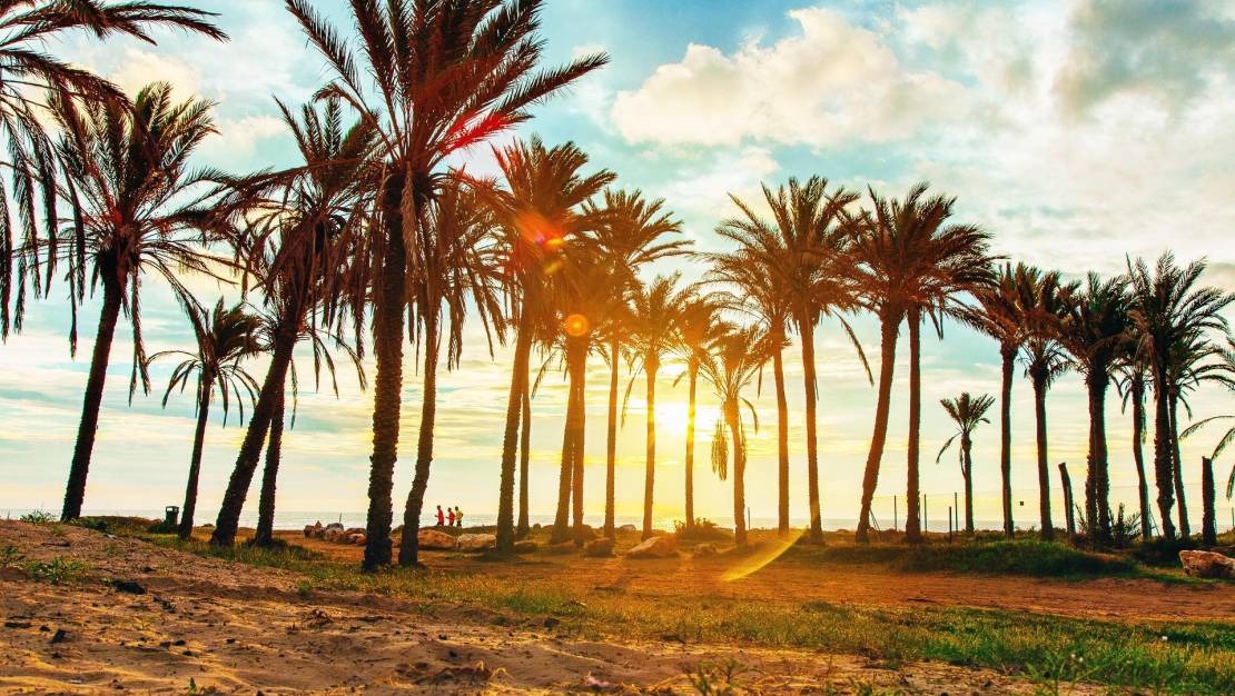 Venta - Apartment - Torrevieja - Punta prima