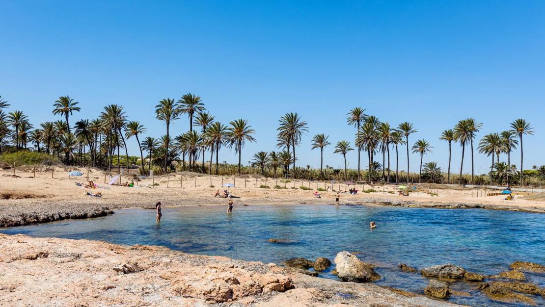 Venta - Apartment - Torrevieja - Punta prima