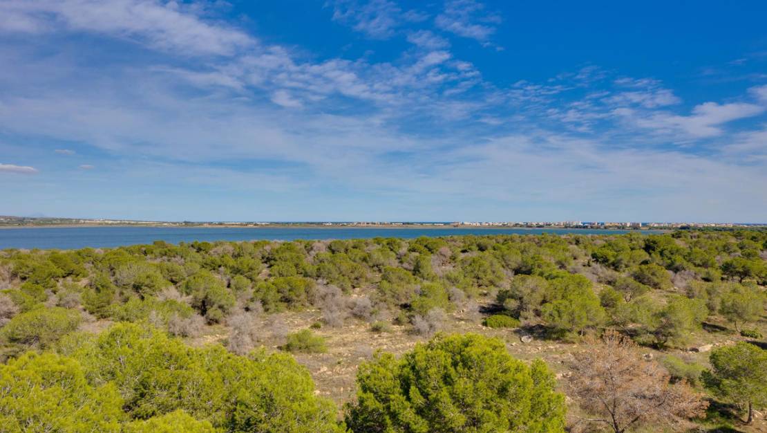 Venta - Apartment - Torrevieja - San Luis