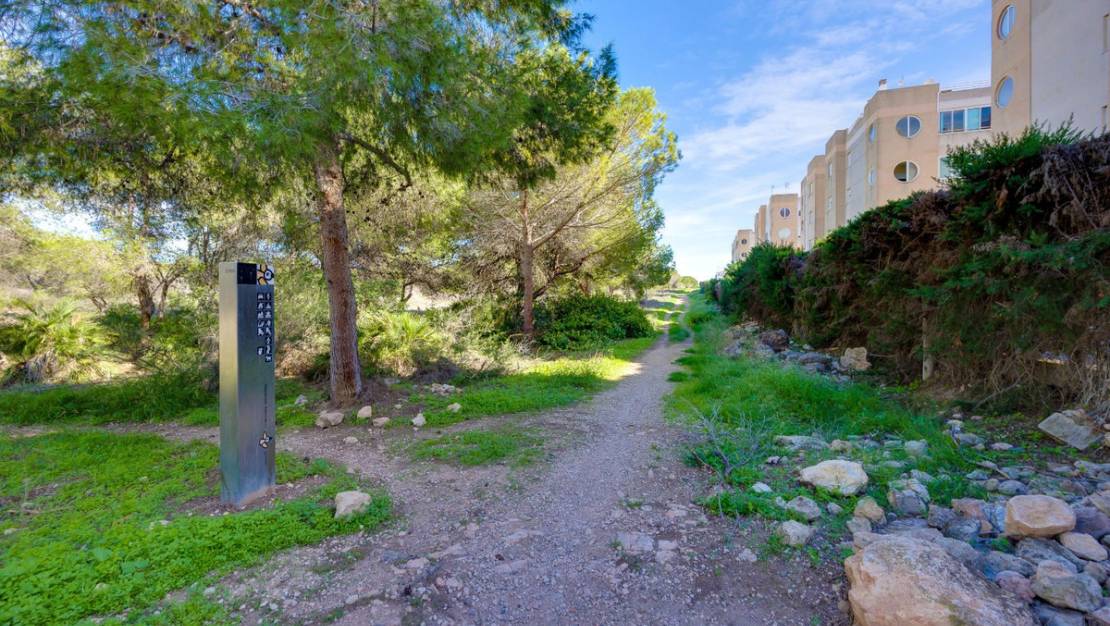 Venta - Apartment - Torrevieja - San Luis