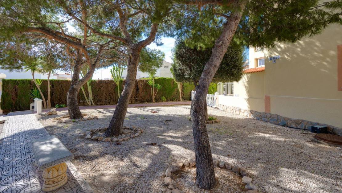 Venta - Apartment - Torrevieja - San Luis