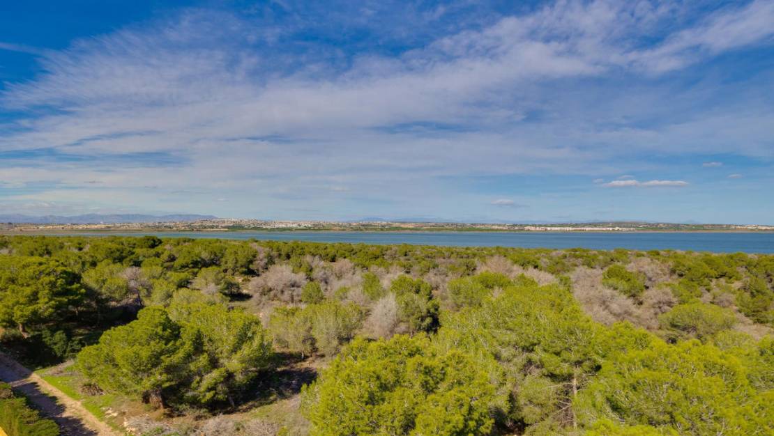 Venta - Apartment - Torrevieja - San Luis