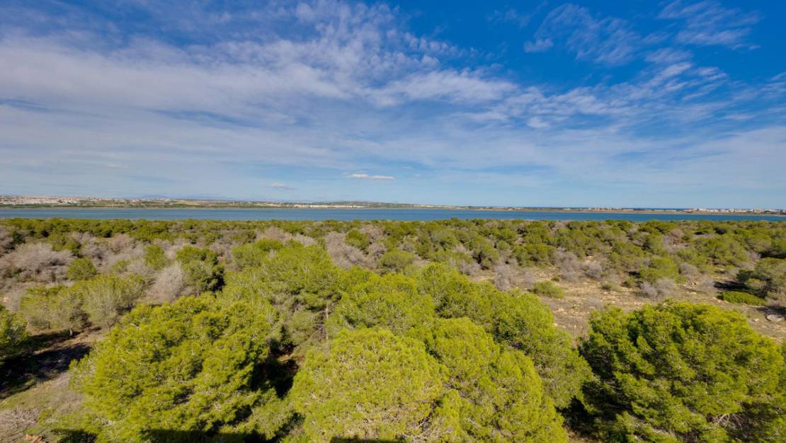 Venta - Apartment - Torrevieja - San Luis