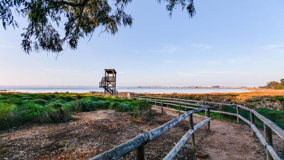 Venta - Apartment - Torrevieja - San Luis