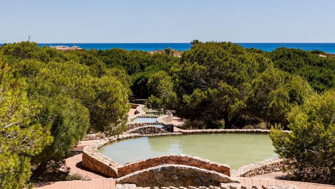 Venta - Apartment - Torrevieja - Torreblanca
