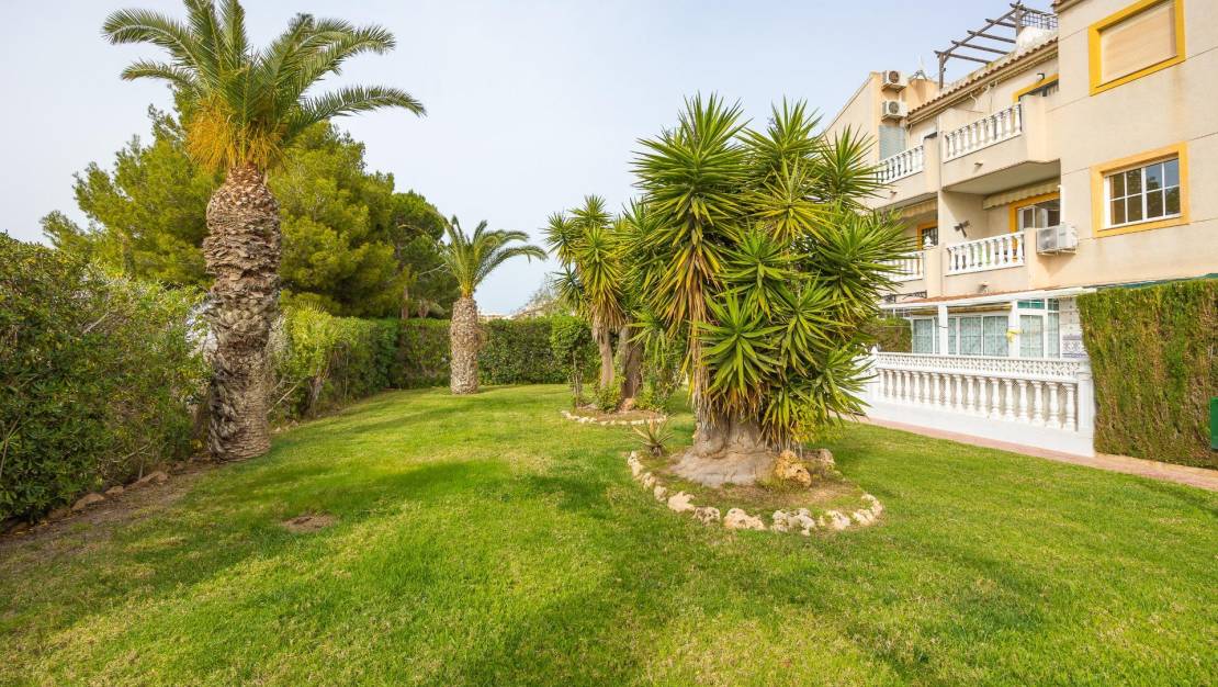 Venta - Apartment - Torrevieja - Torreblanca