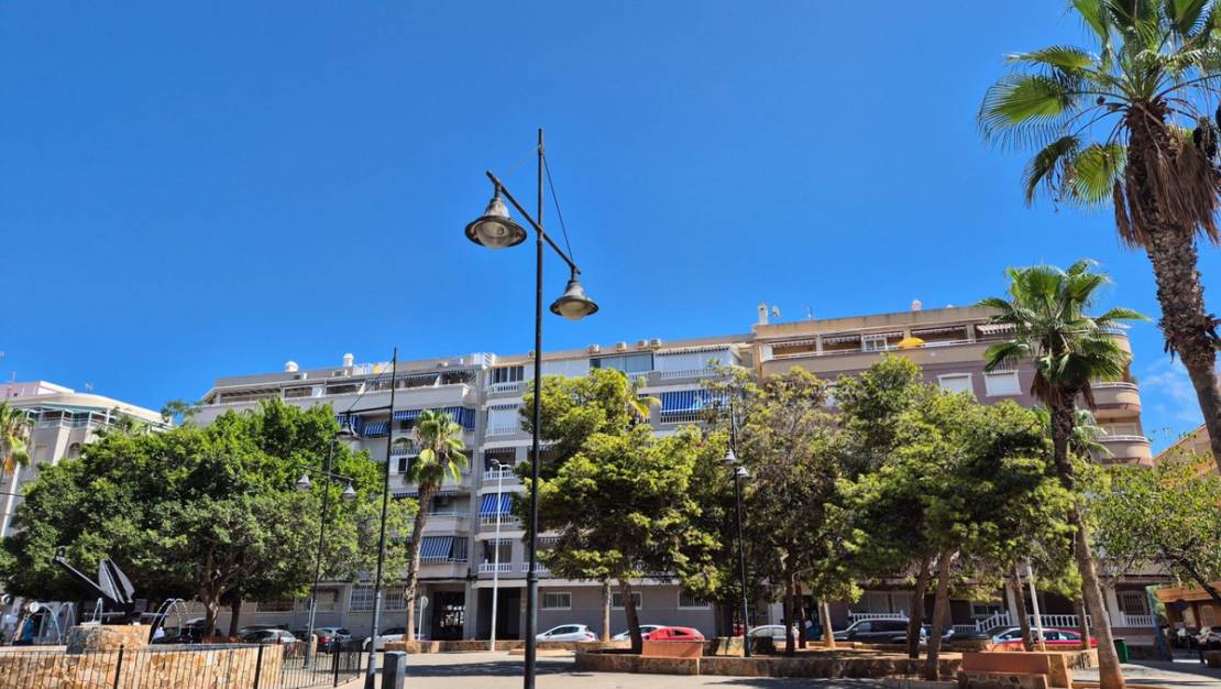 Venta - Apartment - Torrevieja - Torrevieja Centro