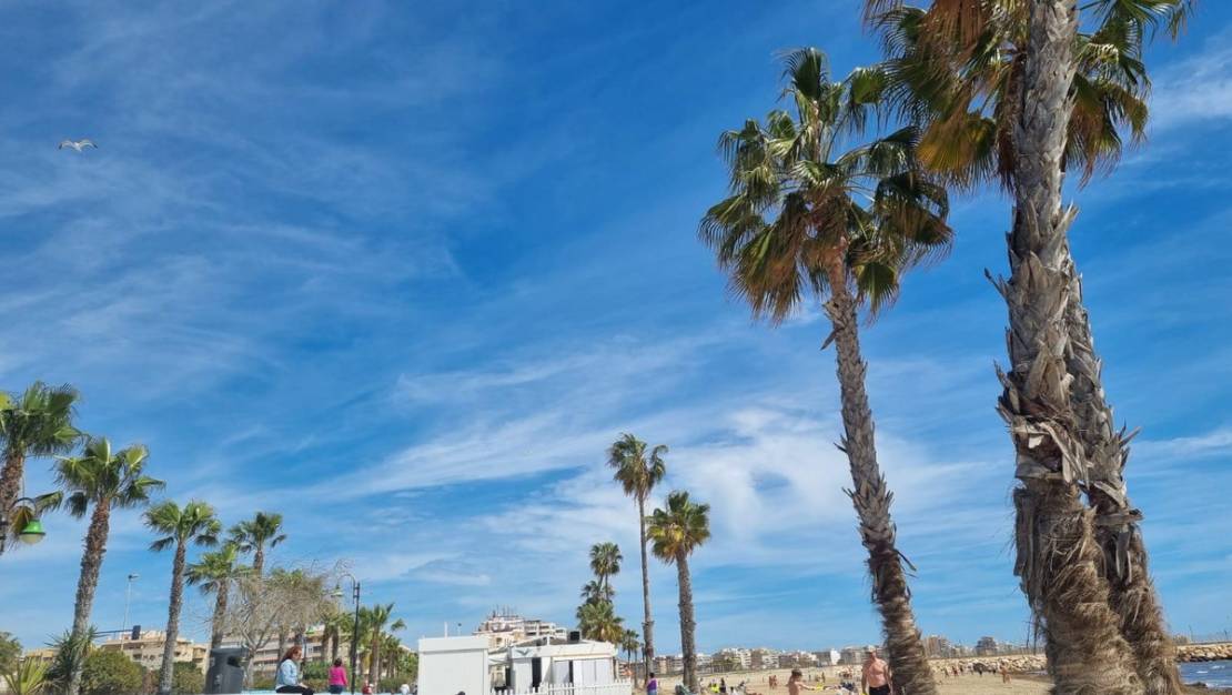 Venta - Apartment - Torrevieja - Torrevieja Centro