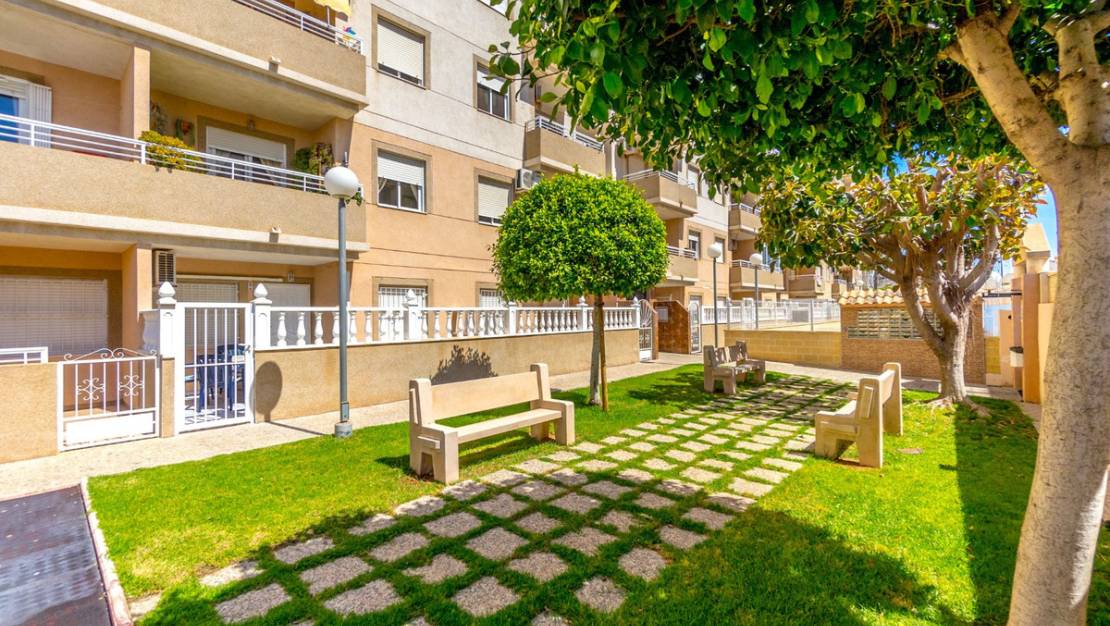 Venta - Apartment - Torrevieja - Torrevieja Centro