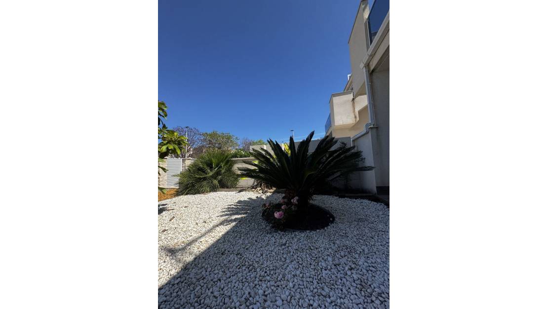 Venta - Apartment - Torrevieja - Torrevieja Centro