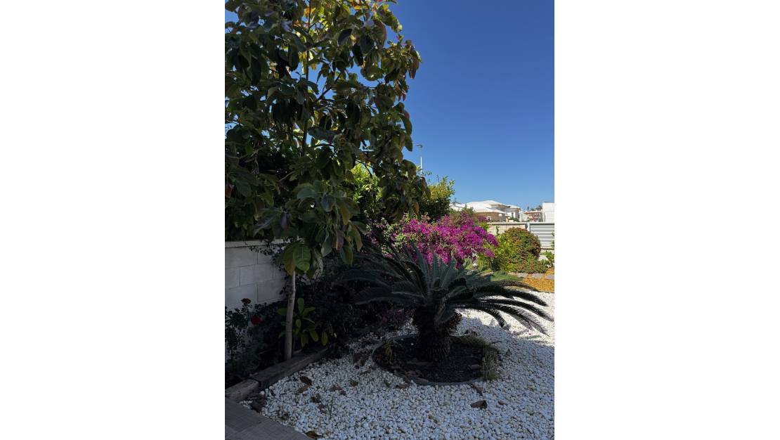 Venta - Apartment - Torrevieja - Torrevieja Centro