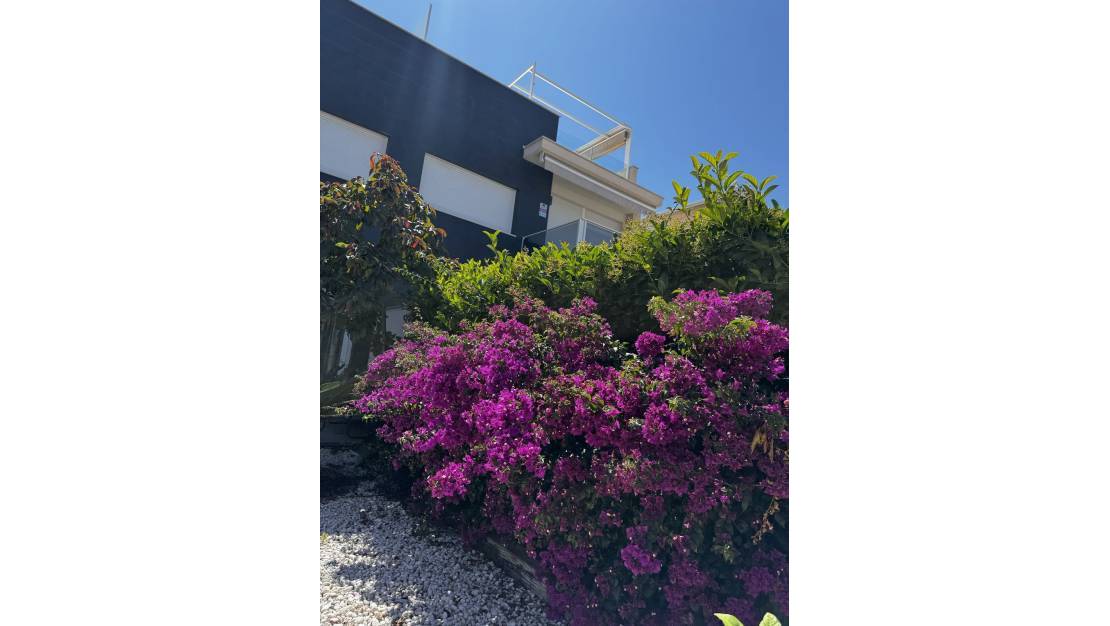 Venta - Apartment - Torrevieja - Torrevieja Centro