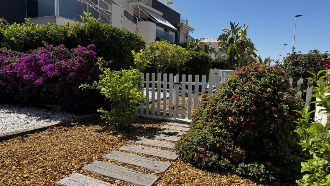 Venta - Apartment - Torrevieja - Torrevieja Centro