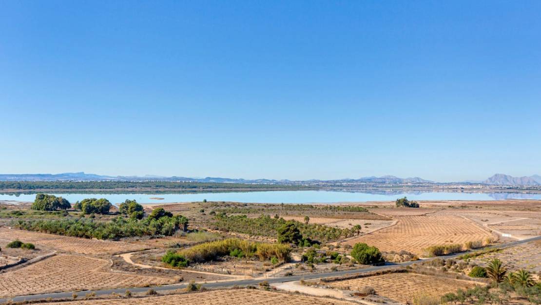 Venta - Apartment - Torrevieja - Torrevieja Centro