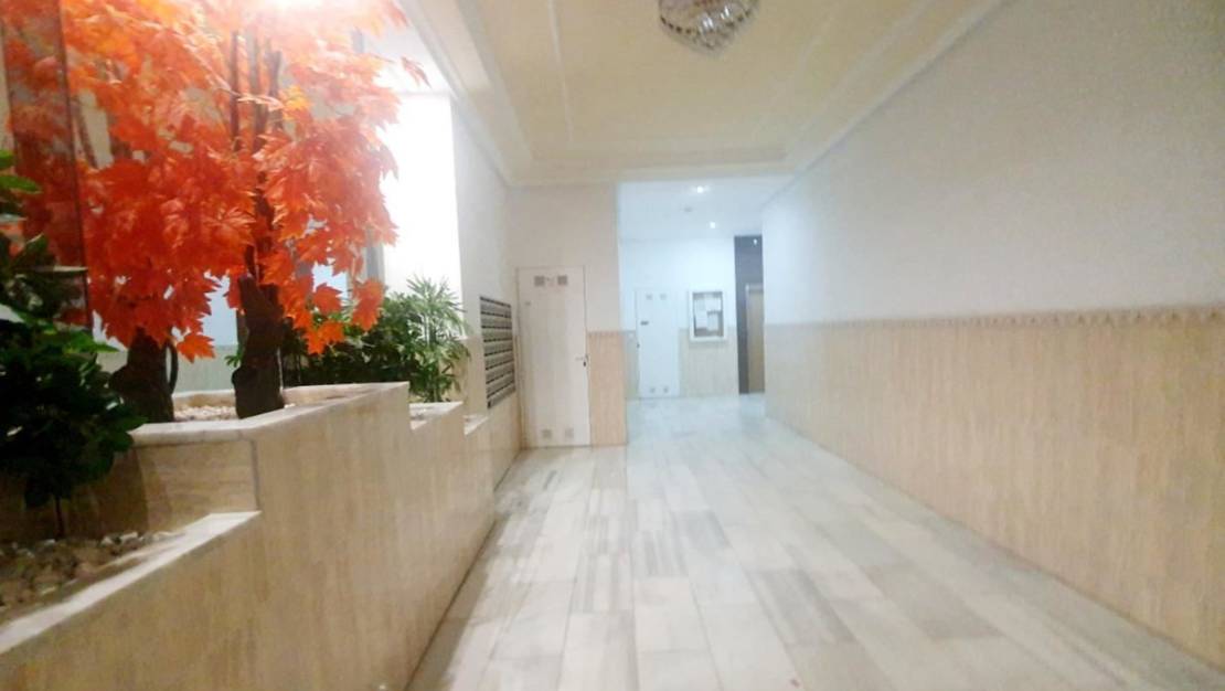 Venta - Apartment - Torrevieja - Torrevieja Centro