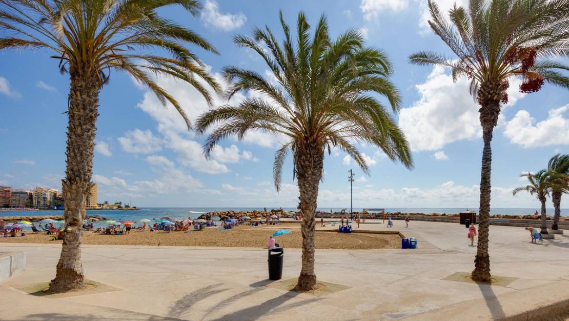 Venta - Apartment - Torrevieja - Torrevieja Centro