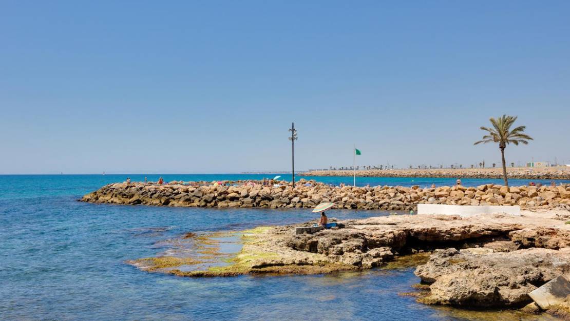 Venta - Apartment - Torrevieja - Torrevieja Centro
