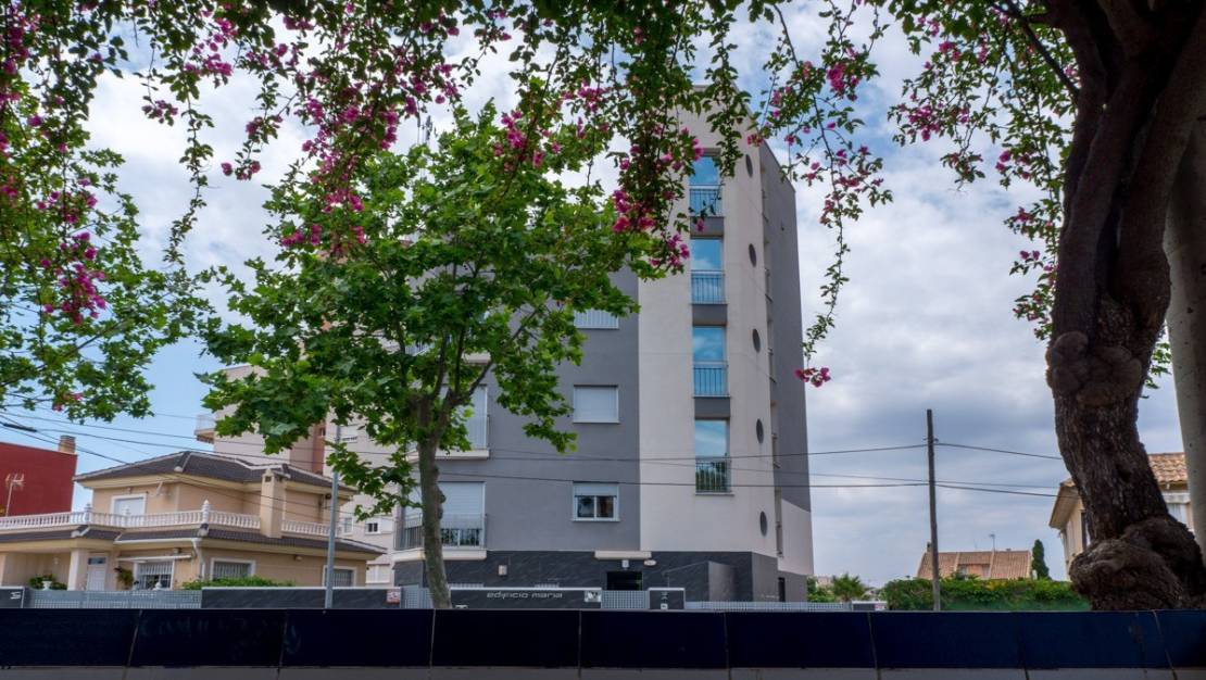 Venta - Apartment - Torrevieja - Torrevieja Centro