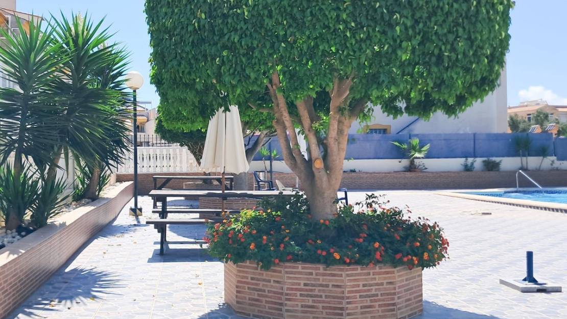 Venta - Apartment - Torrevieja - Torrevieja Centro