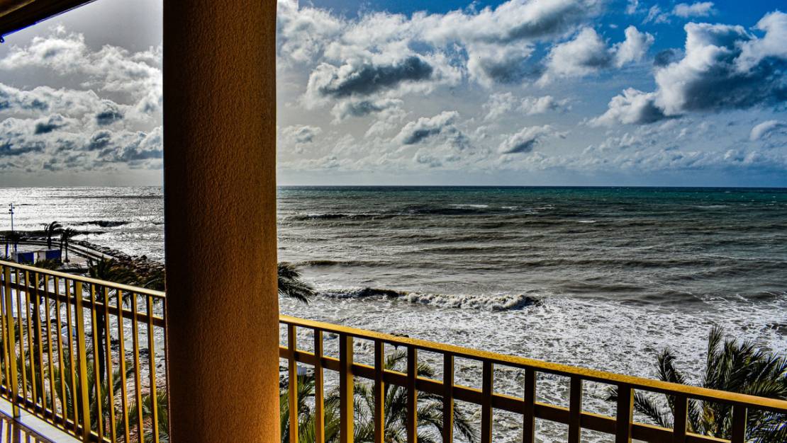 Venta - Apartment - Torrevieja - Torrevieja Centro