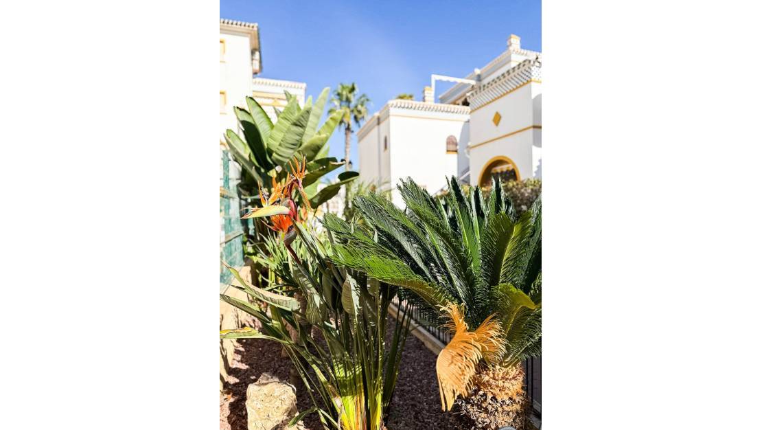 Venta - Apartment - Torrevieja - Torrevieja Centro