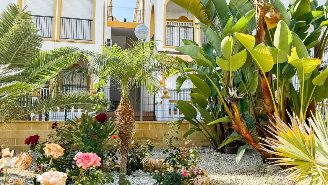 Venta - Apartment - Torrevieja - Torrevieja Centro