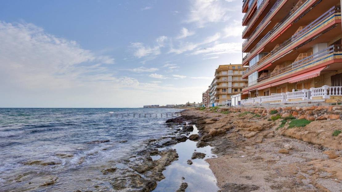 Venta - Apartment - Torrevieja - Torrevieja Centro