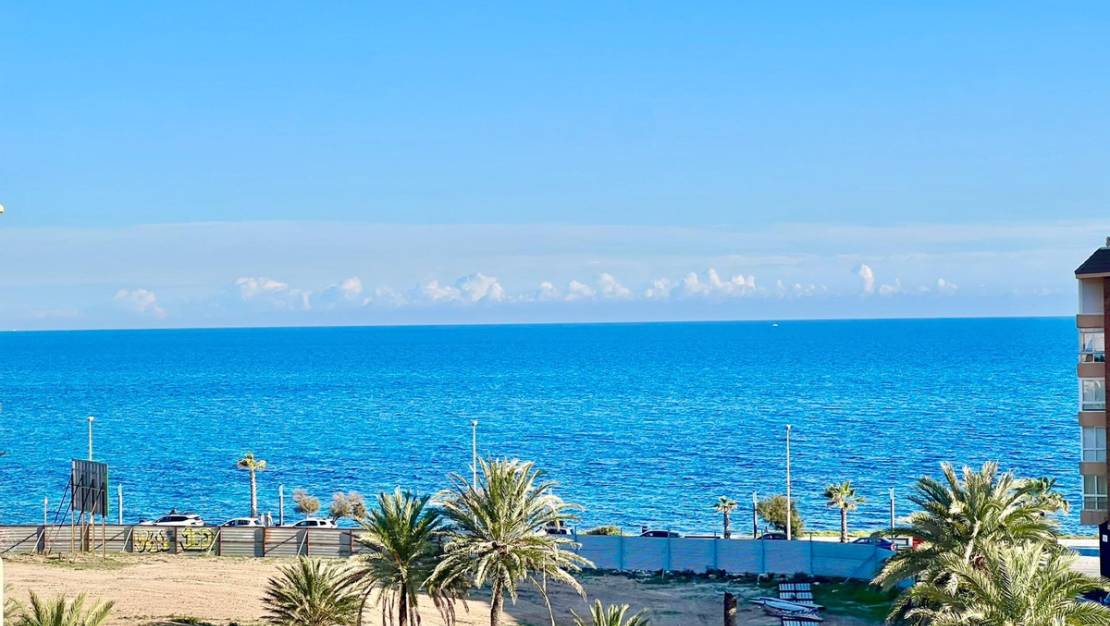 Venta - Apartment - Torrevieja - Torrevieja Centro