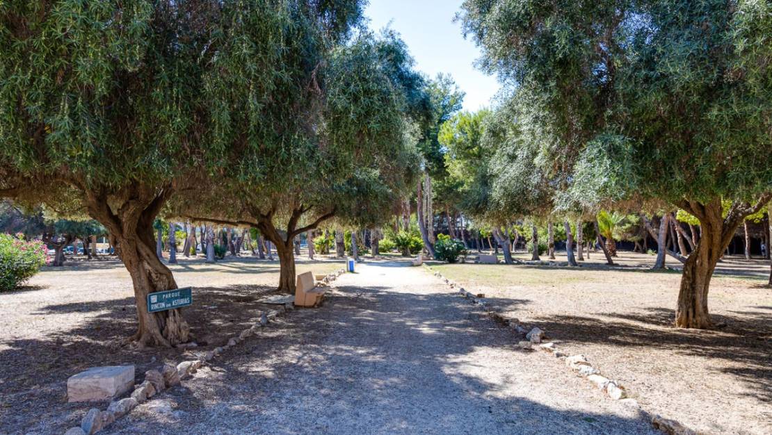 Venta - Apartment - Torrevieja - Torrevieja Centro