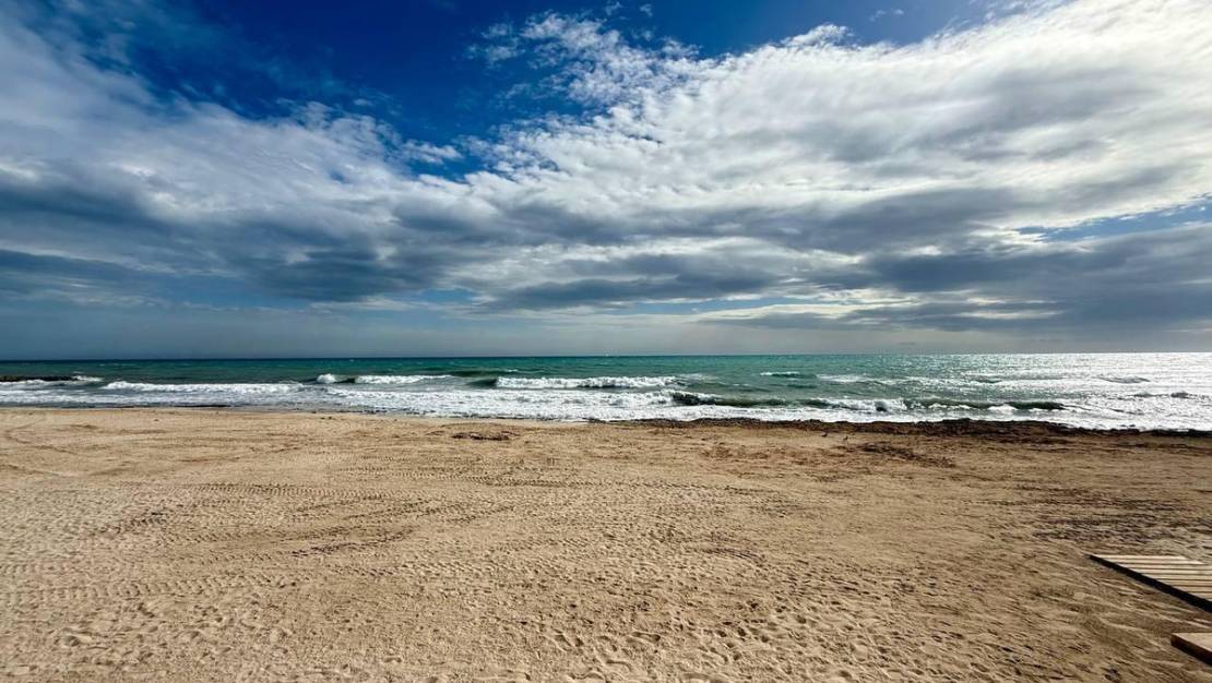 Venta - Apartment - Torrevieja - Torrevieja Centro