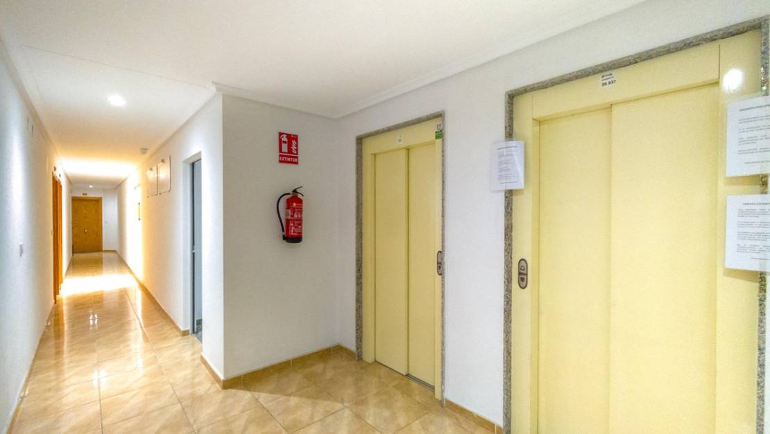 Venta - Apartment - Torrevieja - Torrevieja Centro