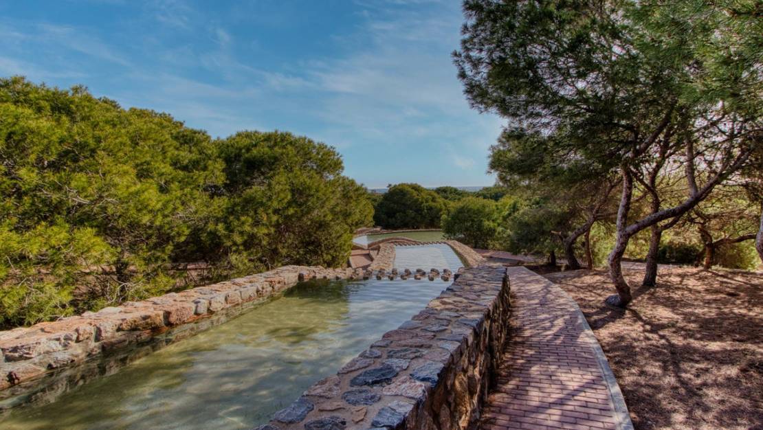 Venta - Apartment - Torrevieja - Torrevieja Centro