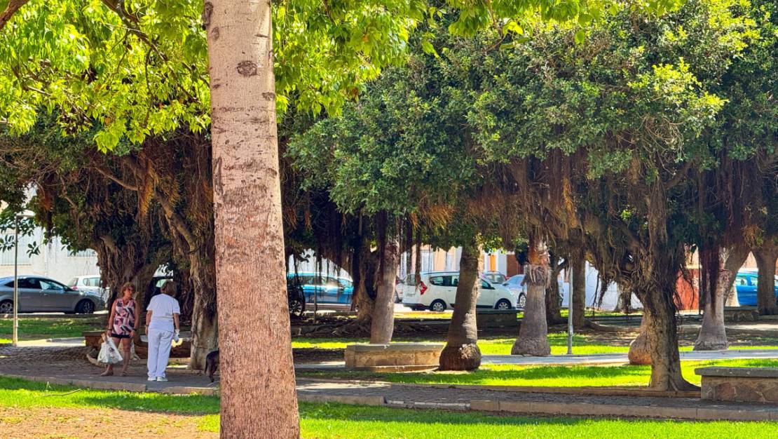 Venta - Apartment - Torrevieja - Torrevieja Centro