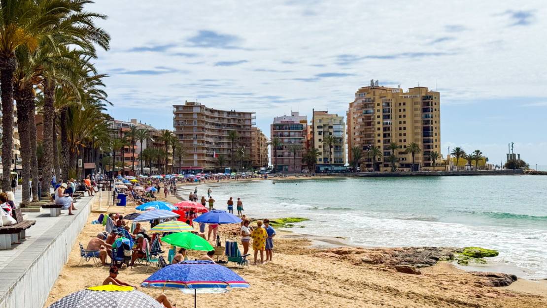 Venta - Apartment - Torrevieja - Torrevieja Centro