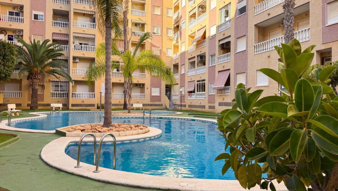 Venta - Apartment - Torrevieja - Torrevieja Centro