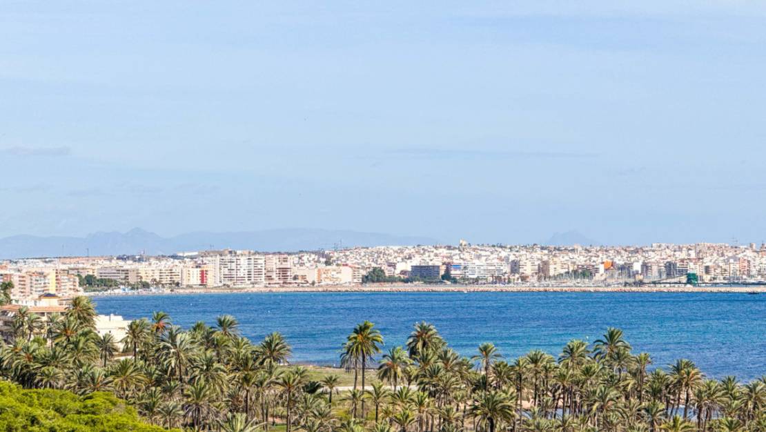 Venta - Apartment - Torrevieja - Torrevieja Centro