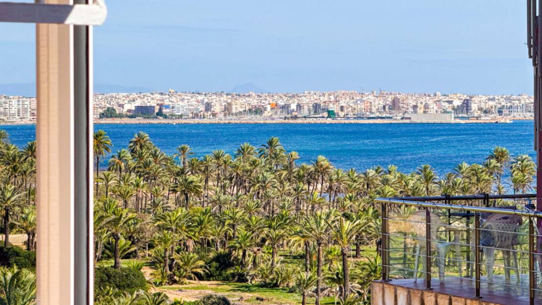 Venta - Apartment - Torrevieja - Torrevieja Centro