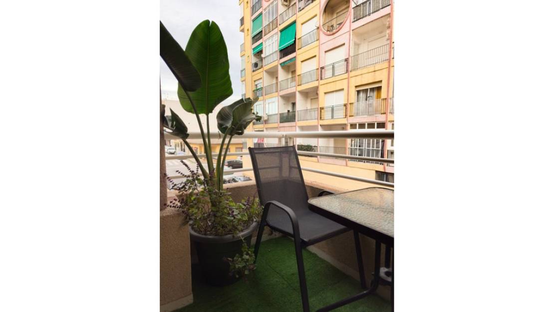 Venta - Apartment - Torrevieja - Torrevieja Centro