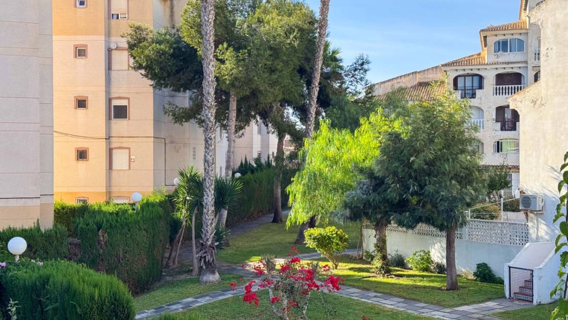 Venta - Apartment - Torrevieja - Torrevieja Centro