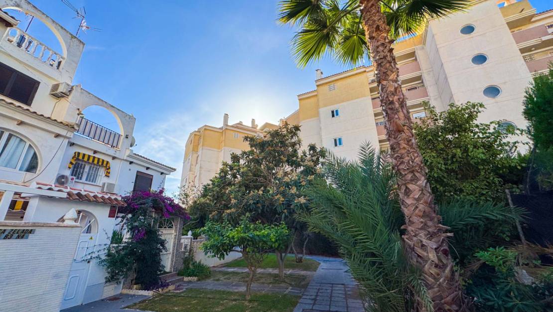 Venta - Apartment - Torrevieja - Torrevieja Centro